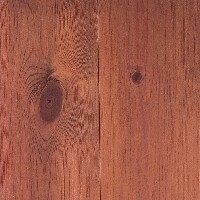 Alyva medienai Timberex COLOURED Ipswich Pine 1 Alyva medienai Timberex COLOURED Ipswich Pine 1