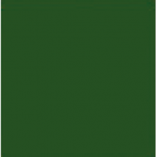 Emaljas krāsvielas COLOR ENAMEL RAL 5400 Zaļā