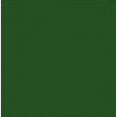 Emaljas krāsvielas COLOR ENAMEL RAL 5400 Zaļā 1