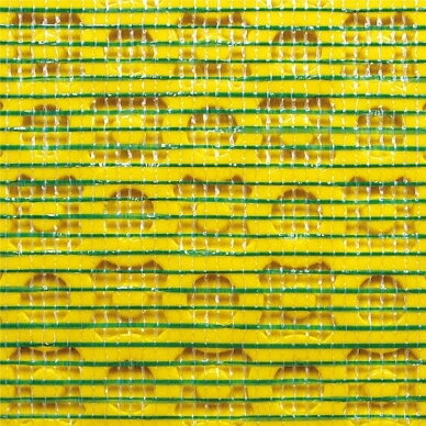 Hidroizoliacinė membrana Dural® DURABASE CI++ 3