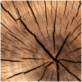 Ilgalaikė medienos apsauga