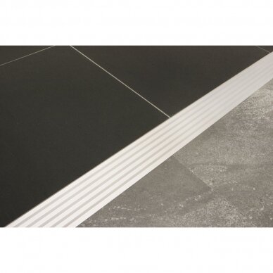 Profils RENO-RAMP-AE-60-B50 4