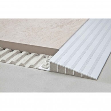 Profils RENO-RAMP-AE-60-B50 2